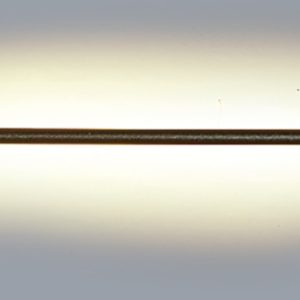 InLight Επιτοίχιο φωτιστικό LED 7W 3000K από μαύρο μέταλλο D:60cm