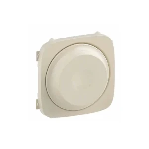 Πλακίδιο Περιστροφικού Ρυθμιστή Ιβουάρ