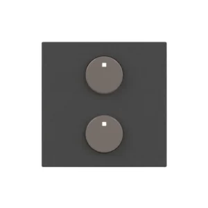 Πλακίδιο Ενεργοποιητή 2 Στοιχείων Ανθρακί