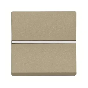 Διακόπτης Ενδιάμεσος Αλέ-Ρετούρ 2 Στοιχείων Σαμπανιζέ