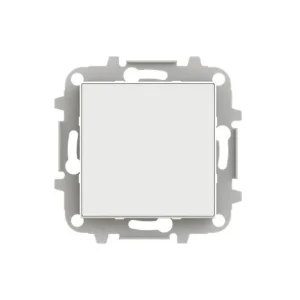 Μετώπη Τυφλή Λευκό