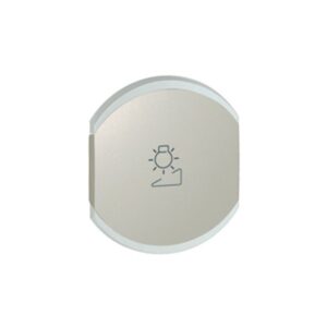 Πλακίδιο Ρυθμιστή 2 Στοιχεία Τιτάνιο