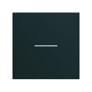 Gallery Πλακίδιο Διακόπτη 2 Στοιχείων Φωτεινό Μαύρο