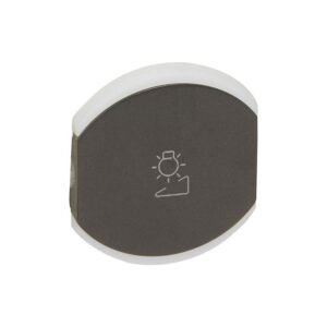 Πλακίδιο Ρυθμιστή 2 Στοιχείων Γραφίτης