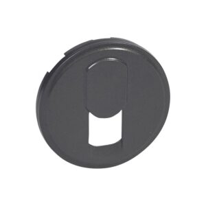 Πλακίδιο RJ11 Graphite