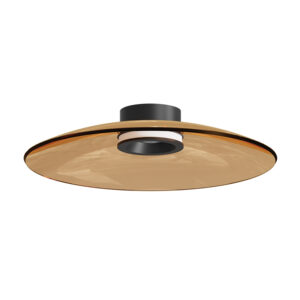 CEILING LED LIGHT 30W 2700K-3000K TRIAC BLACK MATT - TAWNY GLASS