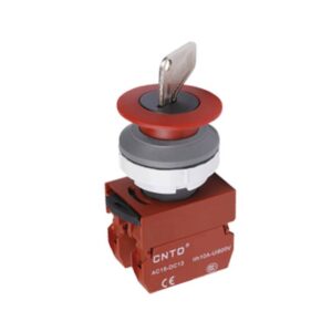 ΜΠΟΥΤΟΝ ΚΛΕΙΔΙ Φ22 1NC ΜΕ ΚΕΦ. Φ30+ΣΥΓΚΡΑΤ. C3PNKM4 CNTD